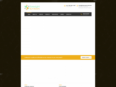 foresightsurveyors.com snapshot