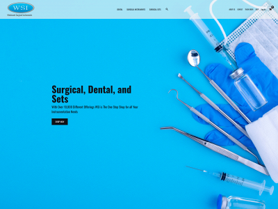 wholesalesurgicalinstruments.com snapshot