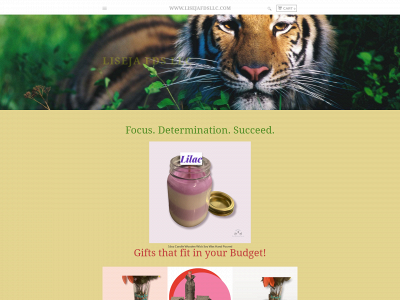 www.lisejafdsllc.com snapshot