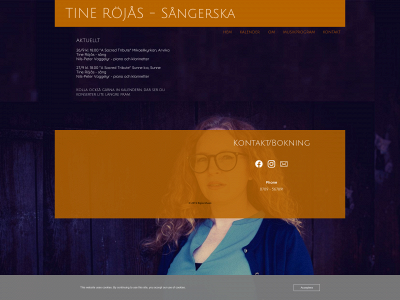 tinerojas.se snapshot