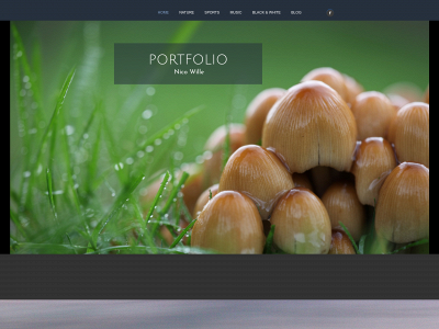 nicowille.be snapshot