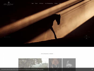 annaarchinger-photography.com snapshot