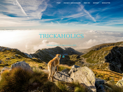 trickaholics.de snapshot