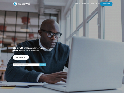 www.timestweb.net snapshot