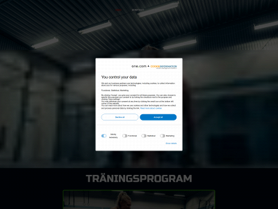becomeinsight.com snapshot