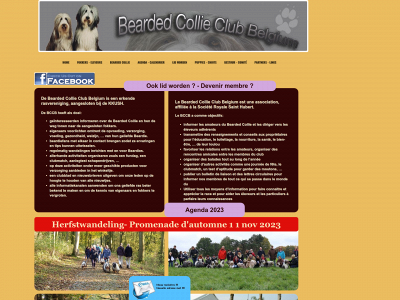 beardedcollieclubbelgium.be snapshot