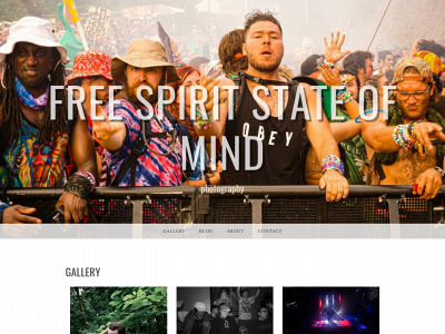 freespiritstateofmind.com snapshot