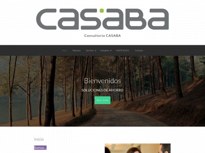 consultoriacasaba.com snapshot