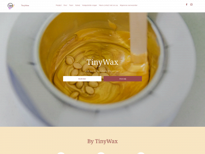 tinywax.nl snapshot