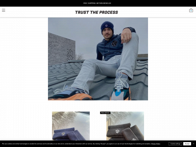 trusttheprocessofficial.com snapshot