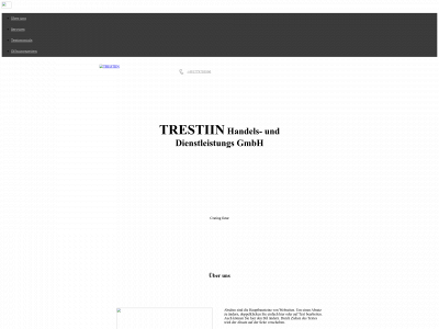 tres-tiin.de snapshot