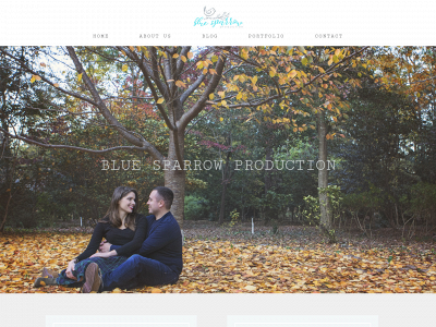 bluesparrowproduction.com snapshot