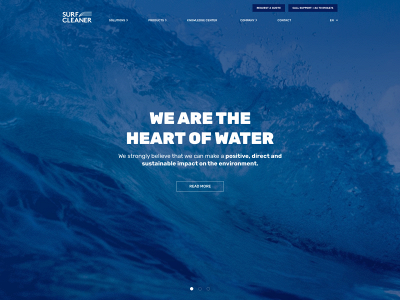 surfcleaner.com snapshot