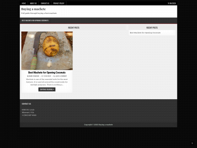 buyingamachete.com snapshot