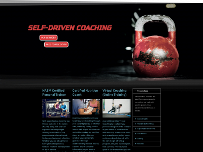 selfdrivencoaching.com snapshot