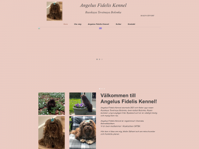 angelusfideliskennel.se snapshot