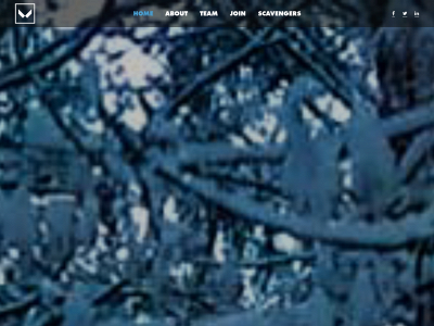 midwinter.net snapshot