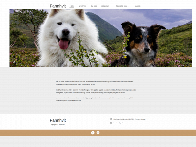 fannhvit.com snapshot