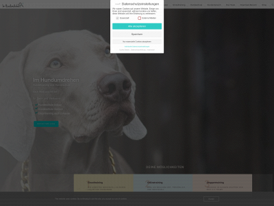 imhundumdrehen.de snapshot