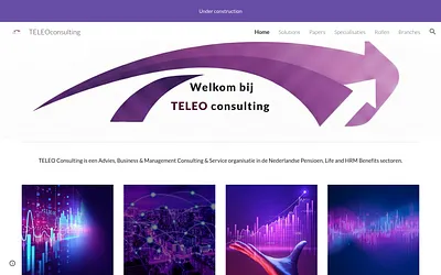 teleoconsulting.nl snapshot