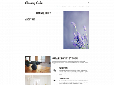 cleaningcalm.com snapshot