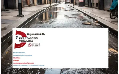 desatascosigualada.es snapshot