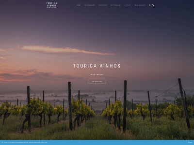 tourigavinhos.be snapshot