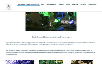 dstri.org snapshot