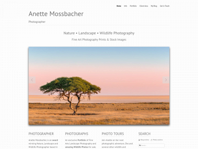 anettemossbacher.com snapshot