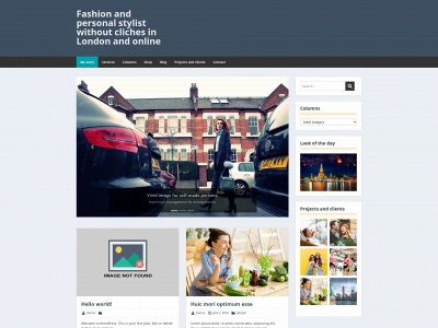 vengerfashion.com snapshot