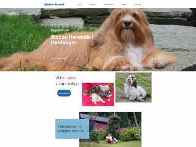 kjeken-kennel.com snapshot