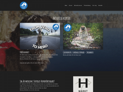livetmedhund.com snapshot