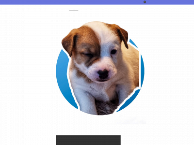 teppoasseri.fi snapshot