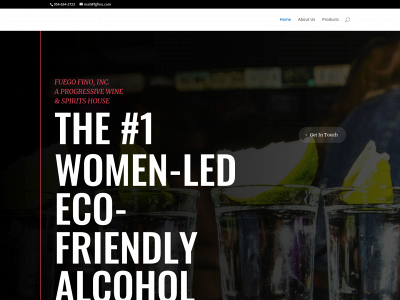fgfino.com snapshot