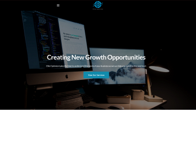 eliteoptimize.com snapshot