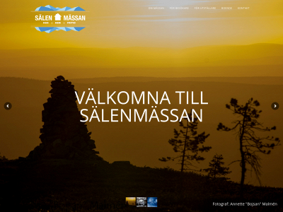 salenmassan.se snapshot