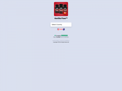 writerz.co snapshot
