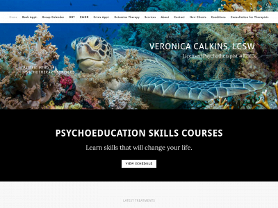 www.veronicacalkins.com snapshot