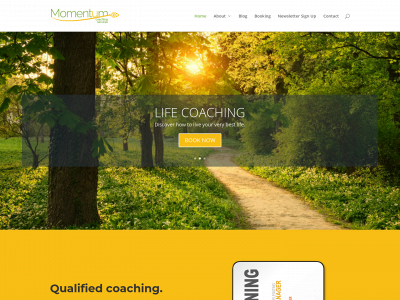 momentumcoachingservices.com snapshot