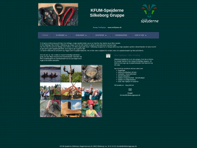 silkeborggruppe.dk snapshot