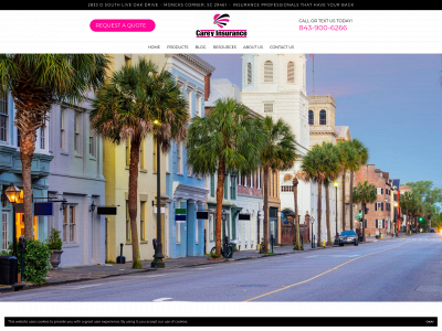 thecareyagency.com snapshot