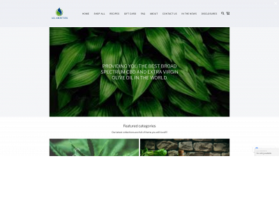 allaboutoilstore.com snapshot