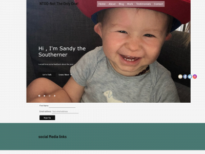 ntoo-not-the-only-one.com snapshot