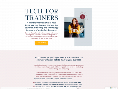 techfortrainers.co.uk snapshot
