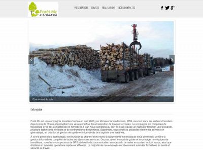 foretmc.com snapshot