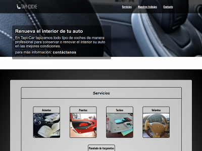 tapi-coche.com snapshot