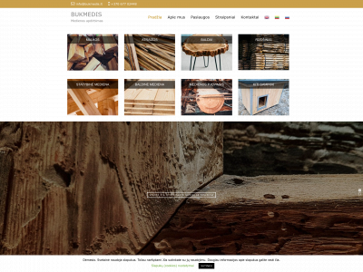 bukmedis.lt snapshot