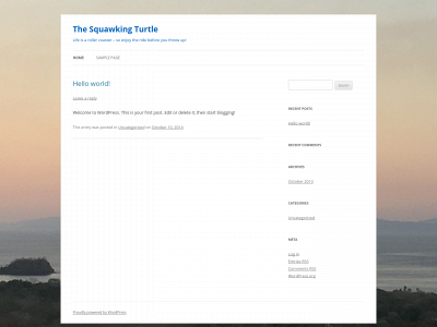 squawkingturtle.com snapshot