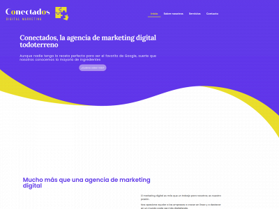 conectadosmarketing.com snapshot