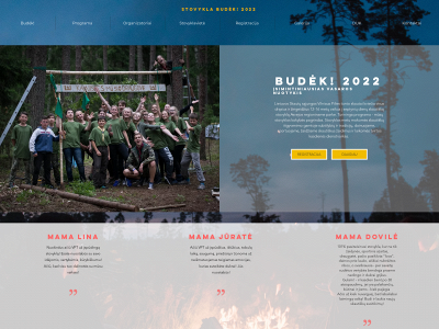 budek.lt snapshot